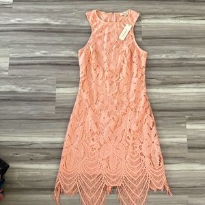 NEW Francesca’s Woman Dress